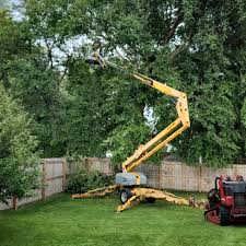 Artificial Turf Installation in Lower Lake, CA