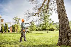 Best Seasonal Cleanup (Spring/Fall)  in Lower Lake, CA