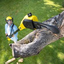 Best Commercial Tree Services  in Lower Lake, CA